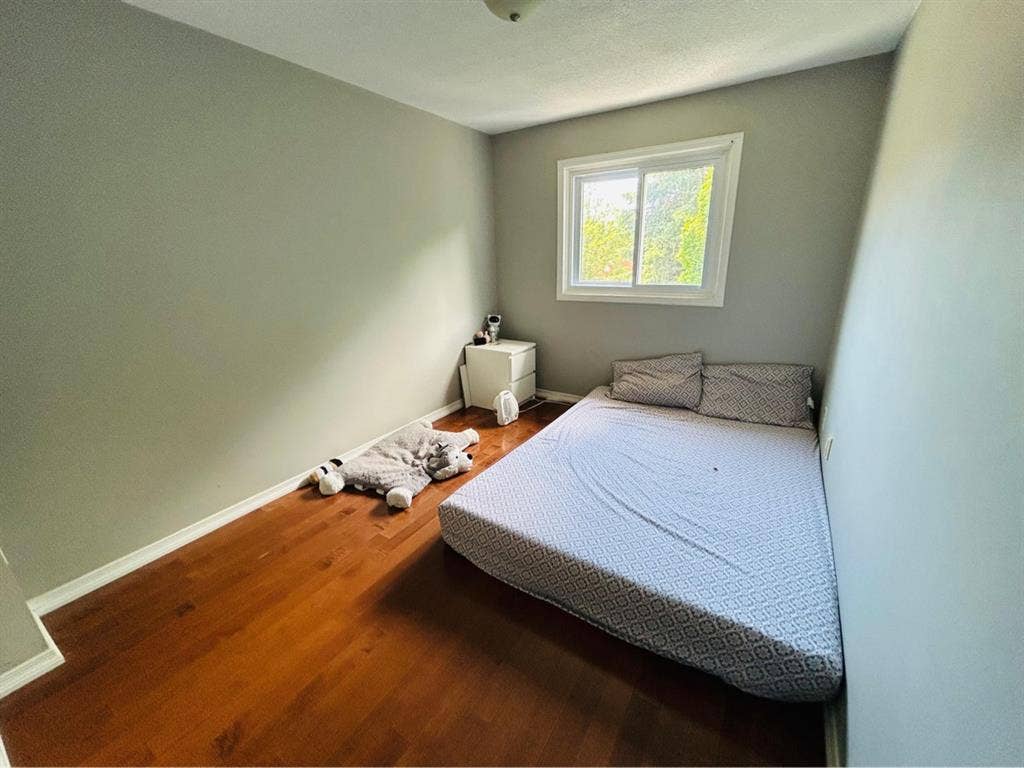 Hamilton home available for rent