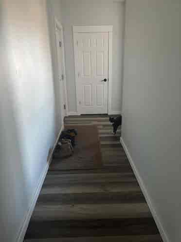 Minneapolis room for rent