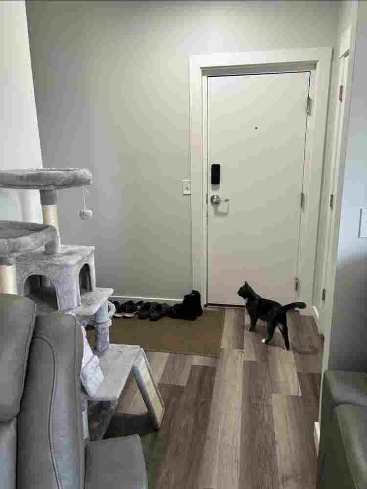 Minneapolis room for rent