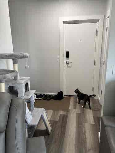 Minneapolis room for rent
