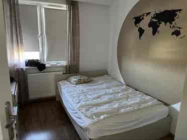 Newly renovated flat
