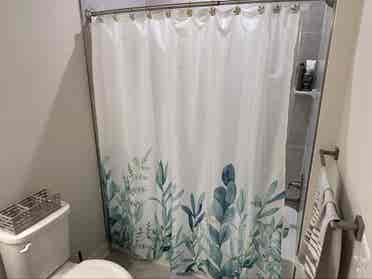 Looking for Roomate