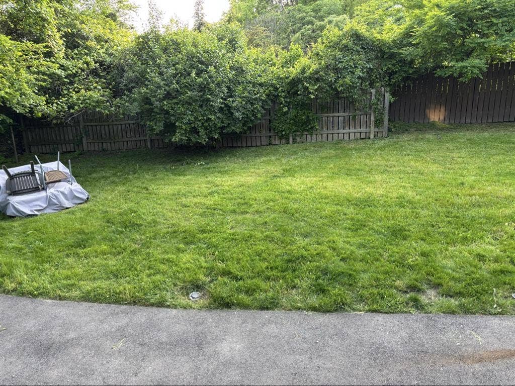 Looking for a renter!