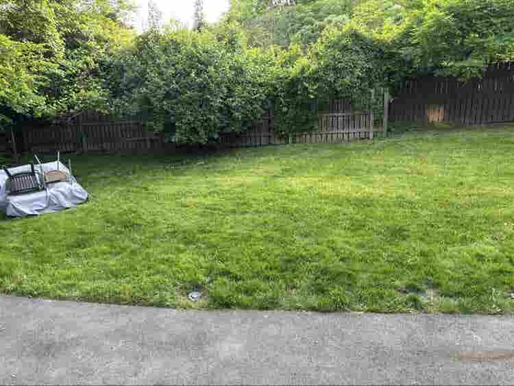 Looking for a renter!