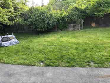 Looking for a renter!