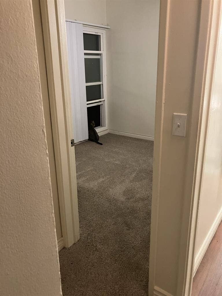 Roommate Wanted