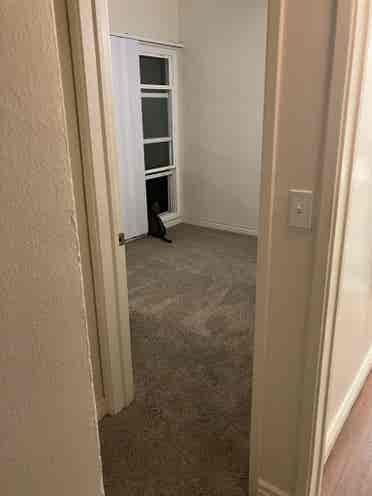 Roommate Wanted