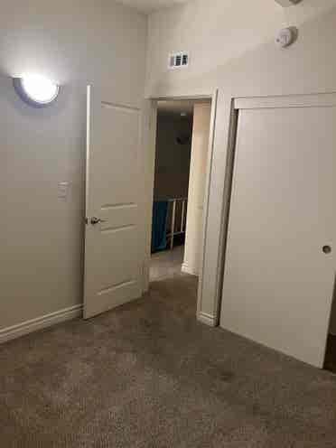 Roommate Wanted