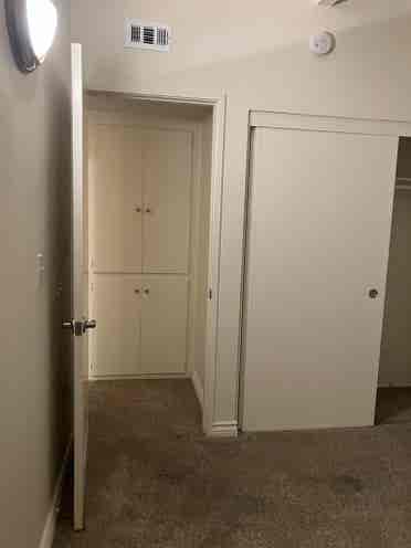 Roommate Wanted