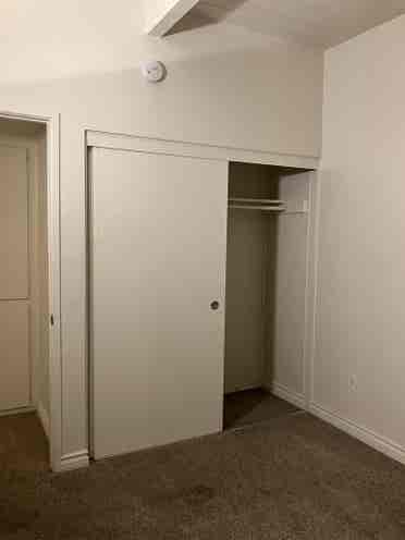 Roommate Wanted