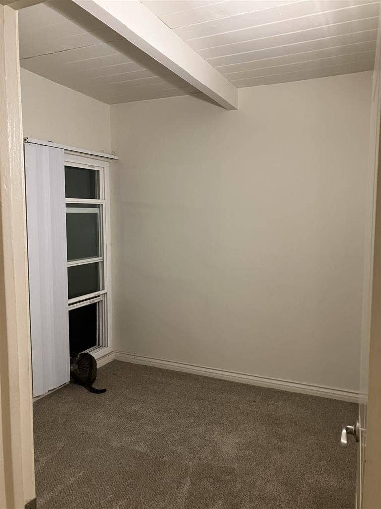 Roommate Wanted