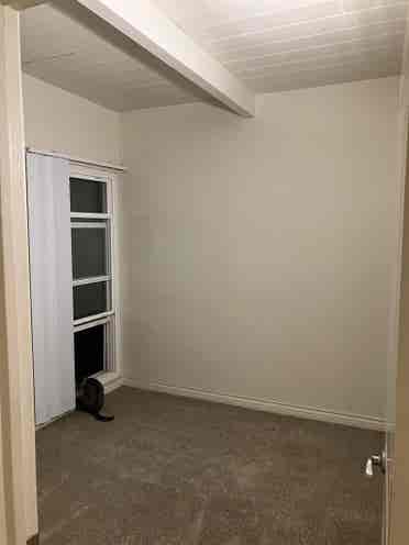 Roommate Wanted