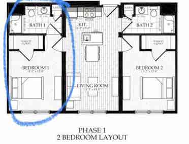 Looking for a roommate