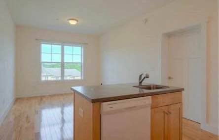 Looking for a roommate