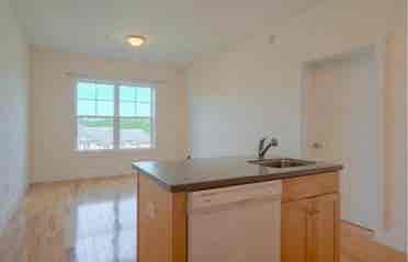 Looking for a roommate