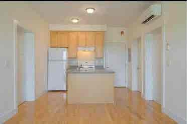 Looking for a roommate