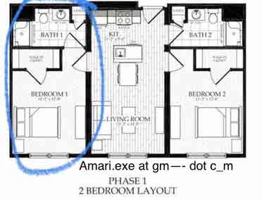 Looking for a roommate