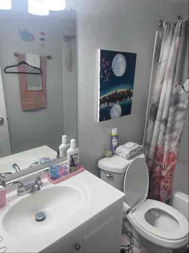 Room Available- Sept 1st
/ Mid Aug