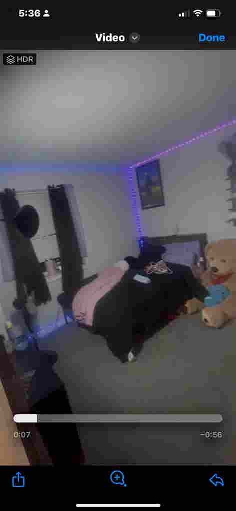 Room Available- Sept 1st
/ Mid Aug