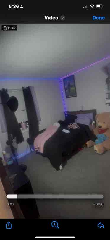 Room Available- Sept 1st
/ Mid Aug