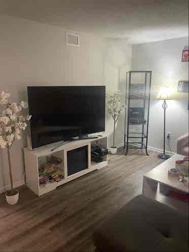 Room Available- Sept 1st
/ Mid Aug