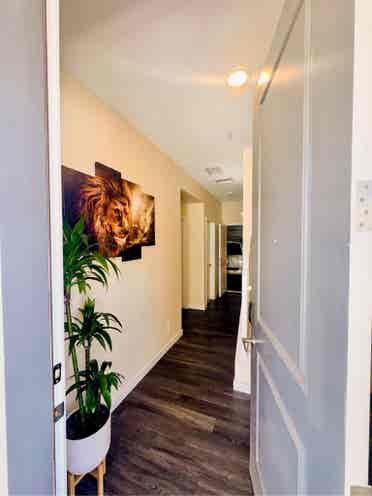 1 year, entry-level
 suite