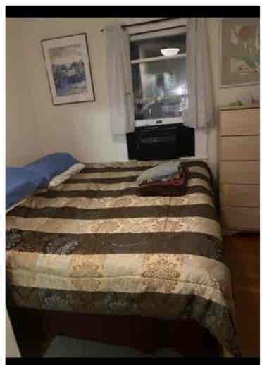 Beautiful furnished beautiful room.