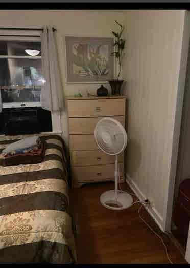 Beautiful furnished beautiful room.