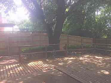 Private Room in NW SA – $/mo