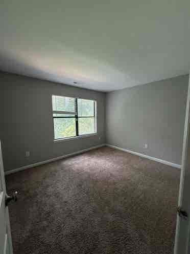 Room available in Chapel Hill