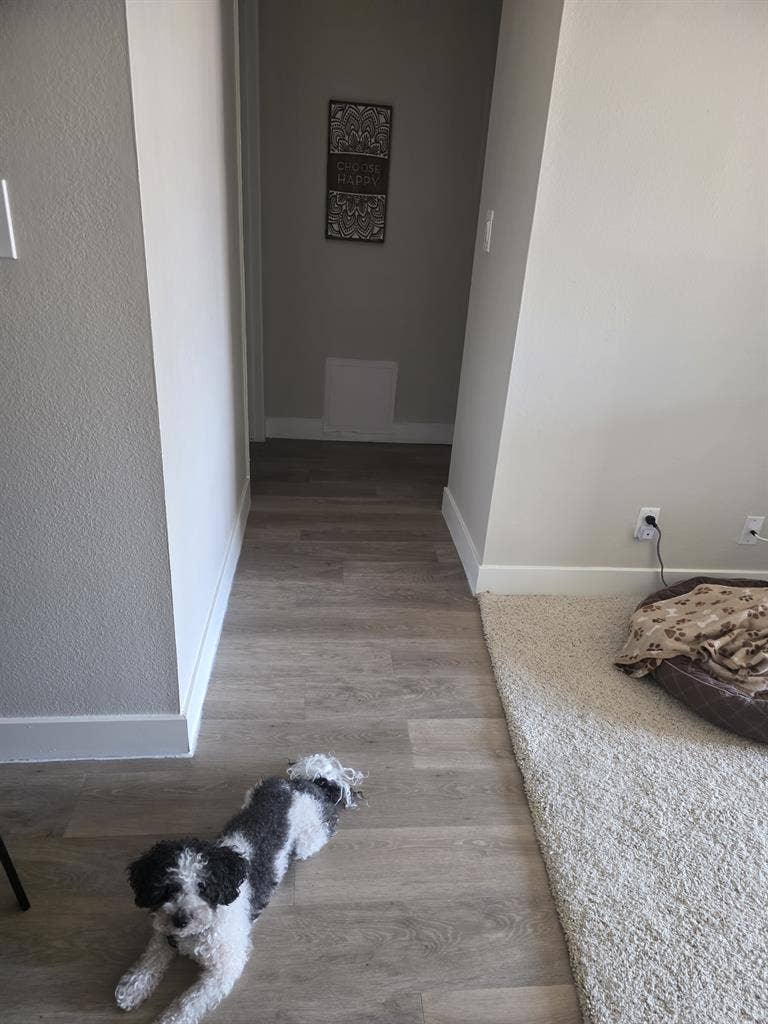 Cozy Private Room Available
