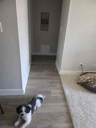 Cozy Private Room Available