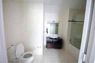 (Penthouse Floor) need 1 roommate.