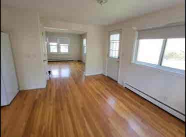 Looking for a roomate!