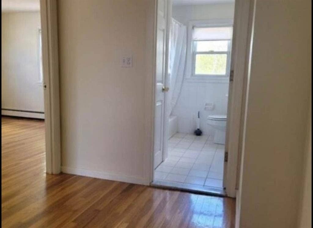 Looking for a roomate!