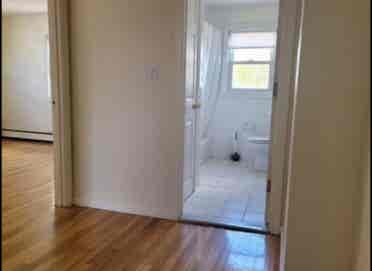 Looking for a roomate!