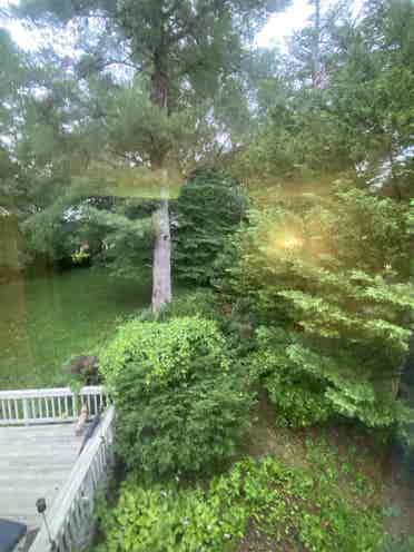 Private Room in Montgomery Village