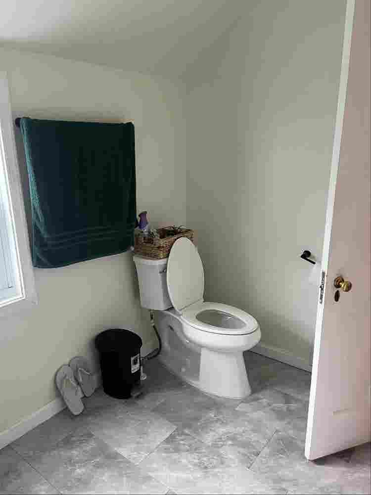 Female roommate needed ()
