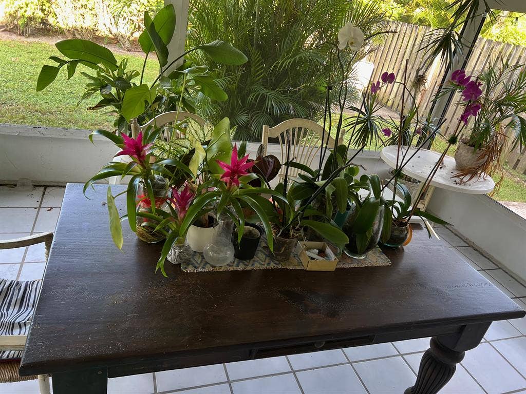 All Girls House
