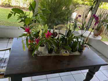 All Girls House