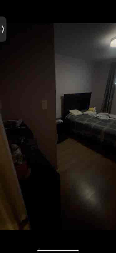 2 girls looking for roommate