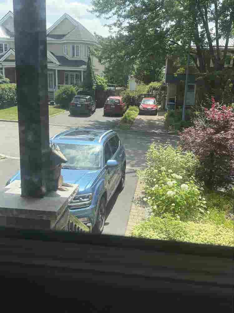 2 girls looking for roommate