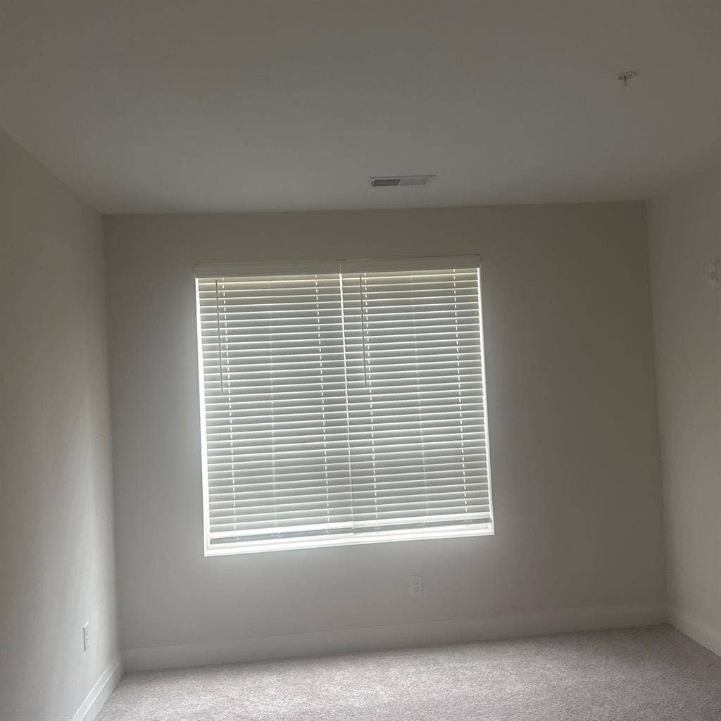Looking for a clean hygienic roomie