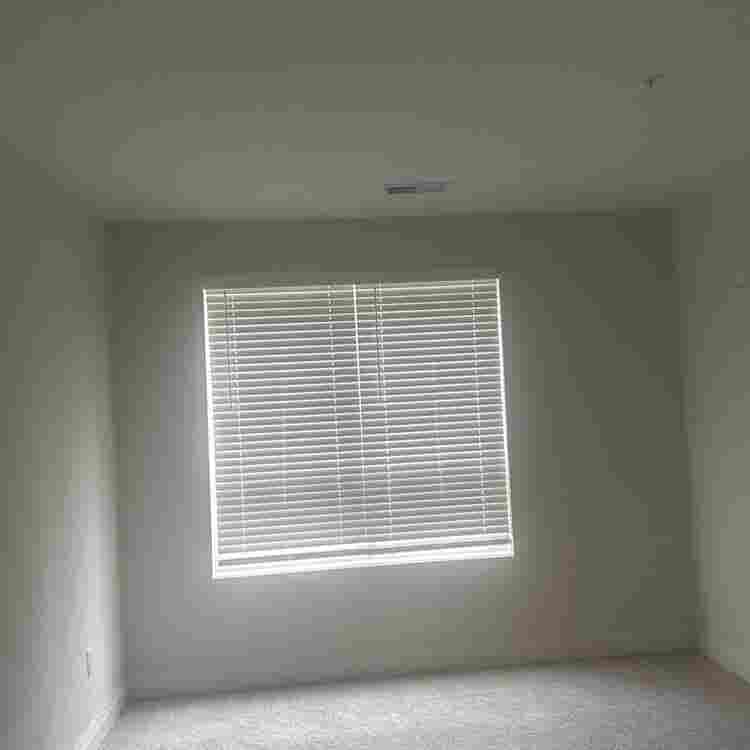 Looking for a clean hygienic roomie