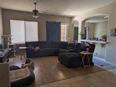 Looking for roommates