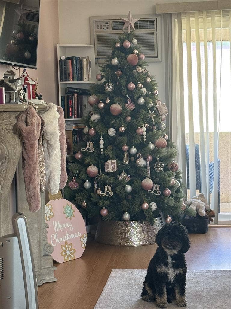 Room for Rent in Burbank - Females
