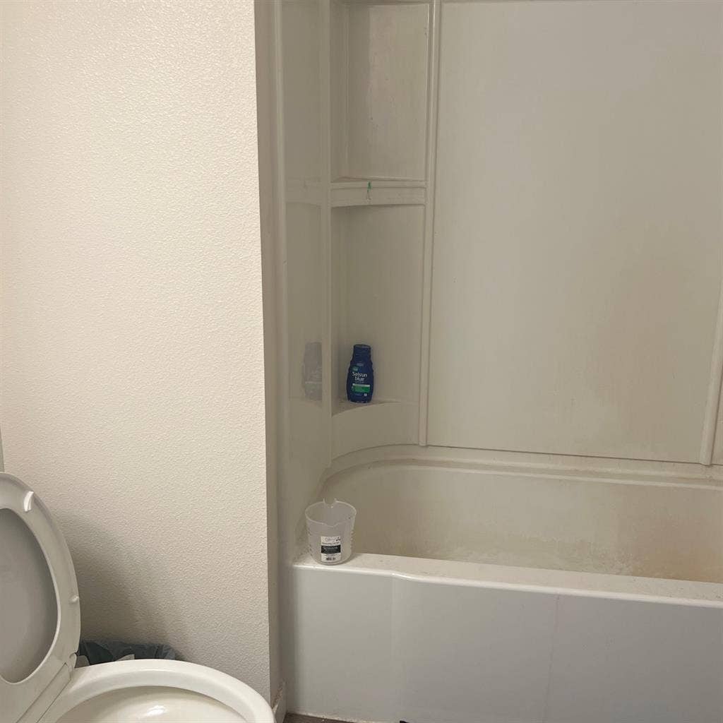 Seeking a new roommate for lease
