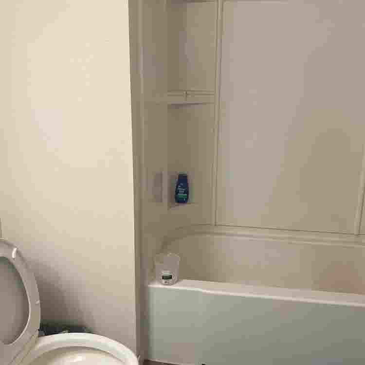 Seeking a new roommate for lease
