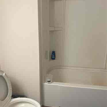 Seeking a new roommate for lease