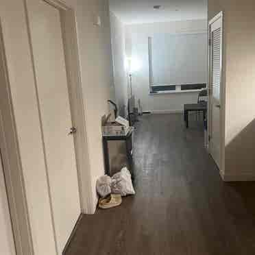 Seeking a new roommate for lease